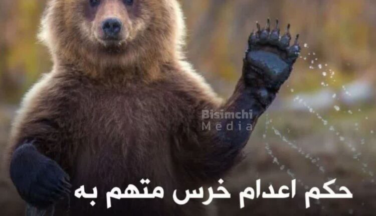 اعدام یک خرس به جرم قتل