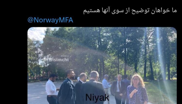 وقتی اروپایی ها براندازان را قهوه ای میکنند