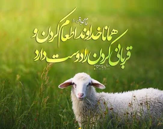 هدف قربانی کردن؛ ایجاد مواسات در جامعه
