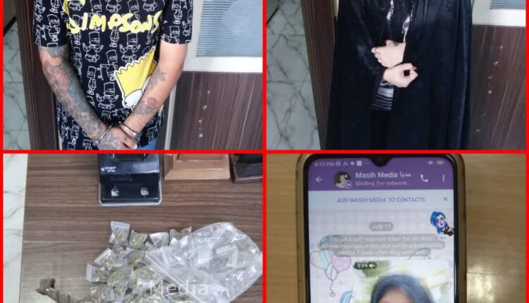 بازداشت هتاکان به آمربه معروف در پارک تهران