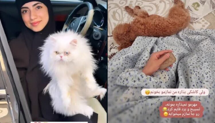 سواری گرفتن حجاب استایل ها از فالورها
