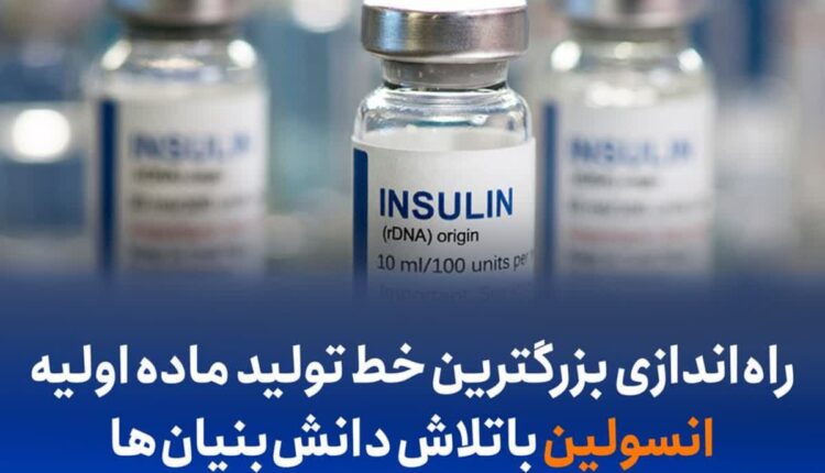 تولید انسولین توسط دانش بنیان ها