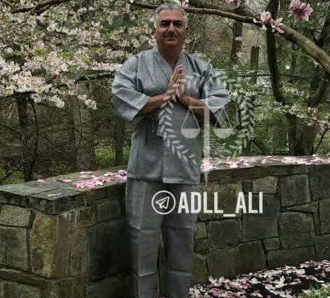 کونگ فوکار مضحک
