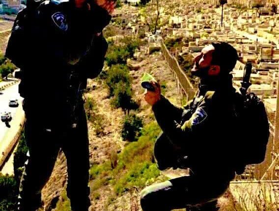 انتظار دارید اینا جلوی حماس بجنگن ؟