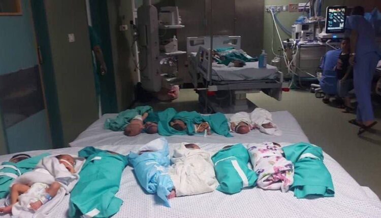 نوزادان فلسطینی  بیمارستان شفادر تلاش برای نفس کشیدن