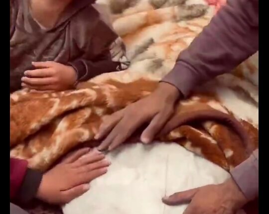 می خواهم در آغوش پدرم بمیرم…