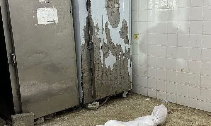 عکس های خانوادگی در غزه