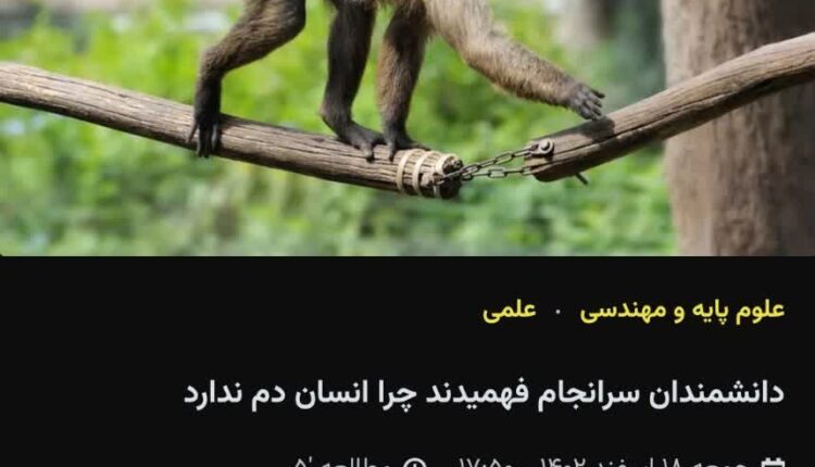در سایت‌های ایرانی چه میگذرد؟