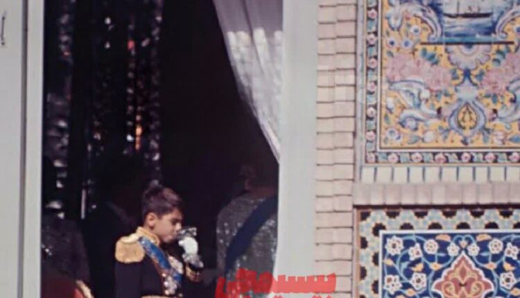 سند بی مغز بودن چاهزاده