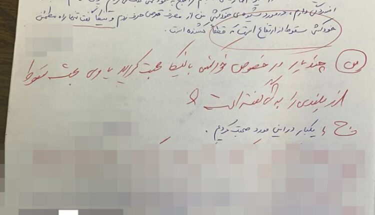 تصویر اعترافات دوست نیکا شاکرمی