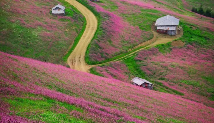 زیبایی های ارتفاعات تالش