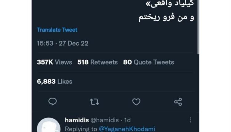 فرو ریختن یگانه خدامی بر اثر شهرت جهانی مهسا امینی