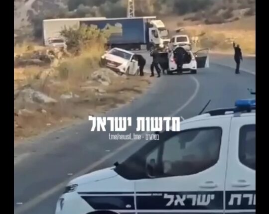 هلاکت سه صهیونیست توسط مبارز فلسطینی