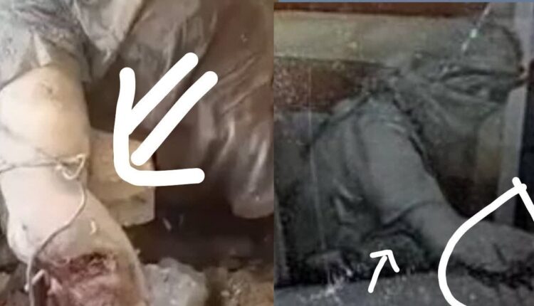 جهاد تا آخرین نفس