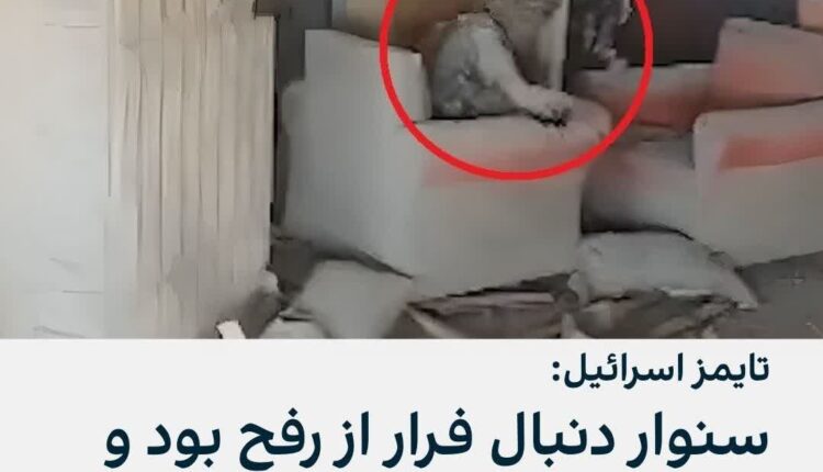 ادامه دروغگویی های بزدل های اینترنشنال