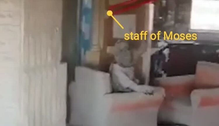 چوبی که عصای موسی خواهند شد