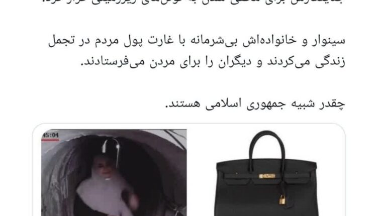 لجن‌پراکنی صهیونیستها درمورد ارزش مالی کیف همسرشهید سنوار