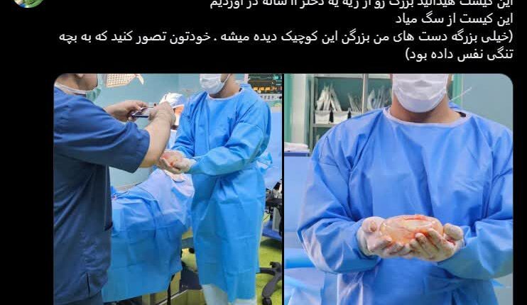 قابل توجه جماعت سگ باز