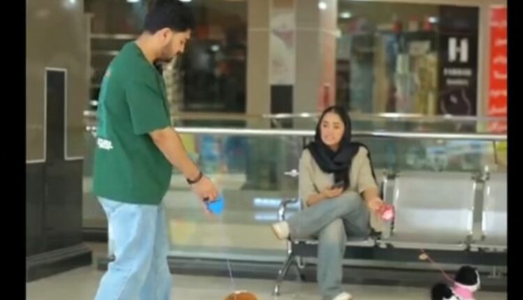 نظارتی روی بازار اسباب‌بازی هست؟