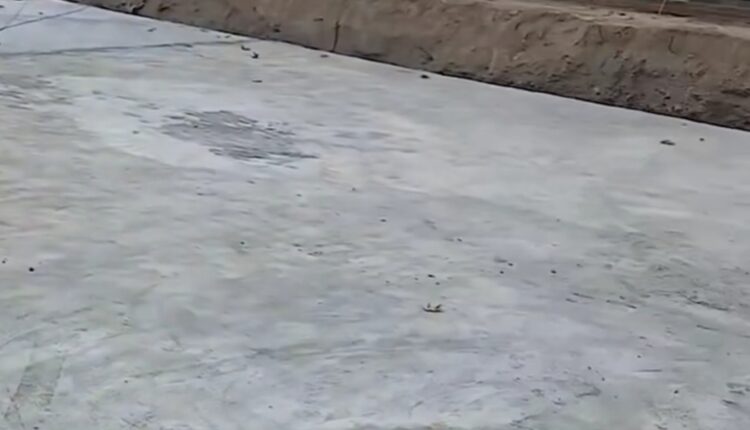 برانداز شل‌مغز وقتی میره پارک