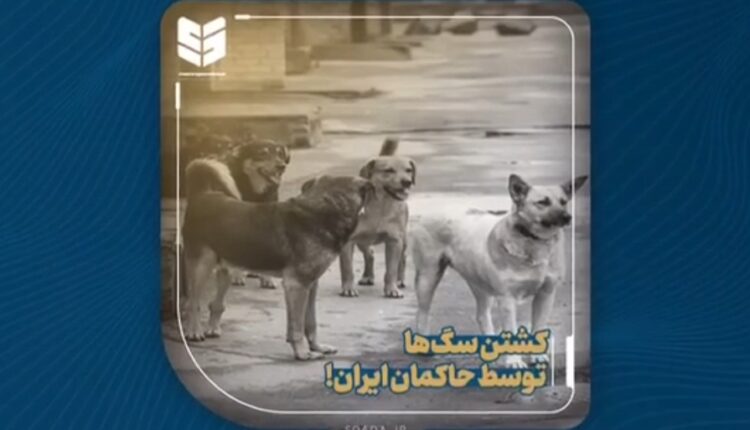 زوزه‌هایی که خواب رضا شاه را برهم می‌زدند!