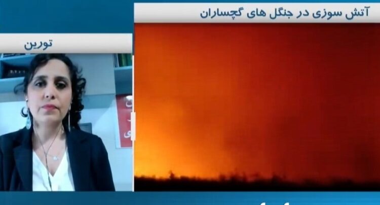 در ایران حکومت مقصر است، در آمریکا وزش باد!