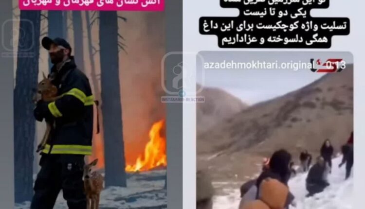 واکنش سلبریتی دوزاری به اتفاقات در ایران و آمریکا