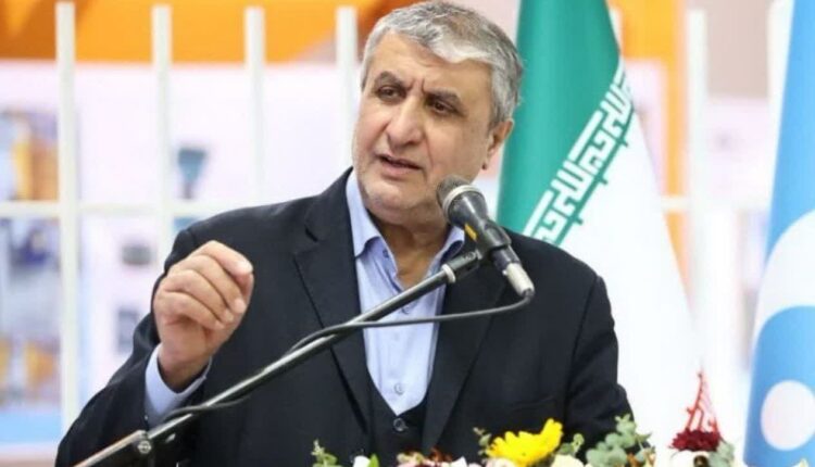 اسلامی: آمریکا دنبال توقف ساخت نیروگاه هسته‌ای دارخوین بود