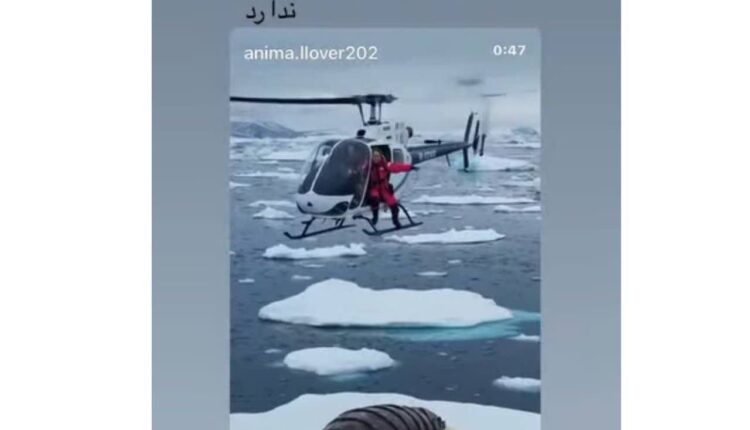 سطح سواد سلبریتی جماعت