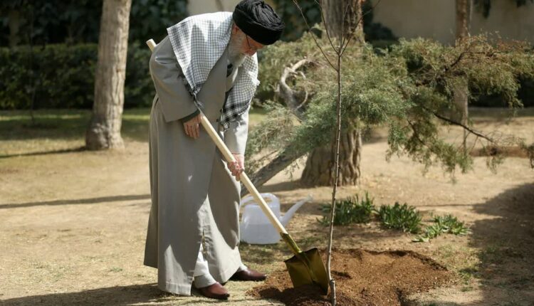 تصاویری از کاشت ۳ اصله نهال توسط رهبر انقلاب در روز درختکاری