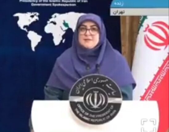 عذرخواهی سخنگوی دولت به دلیل تکذیب سفر لاکچری معاون پارلمانی رئیس جمهور