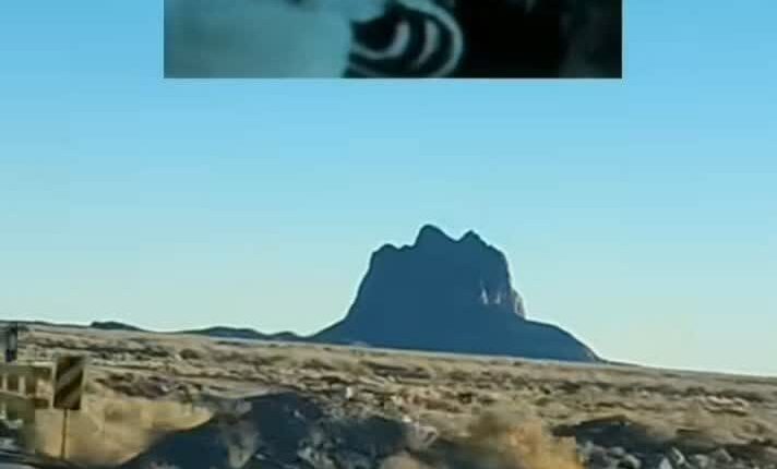 سطح iq سلطنت‌طلبان