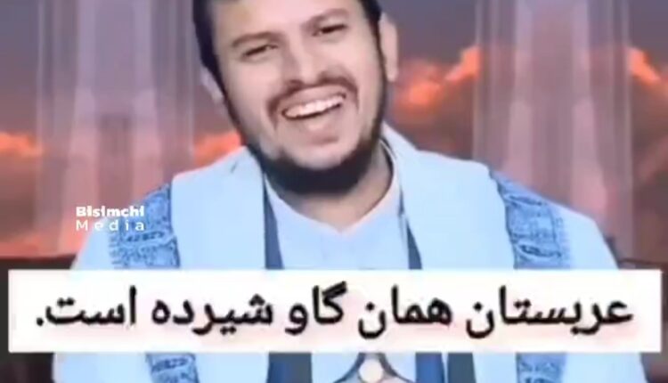 سیدالحوثی: دلمان میسوزد برای پادشاه عربستان