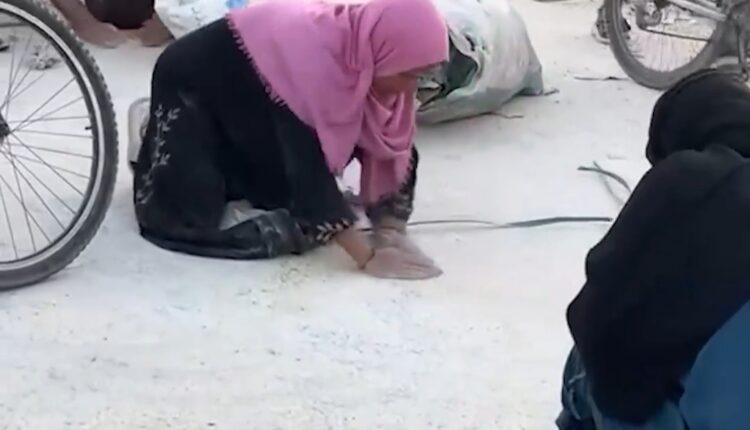 در جستجوی ذره‌ای آرد برای نجات از قحطی