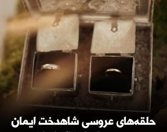 میزان عقل سلطنت طلب