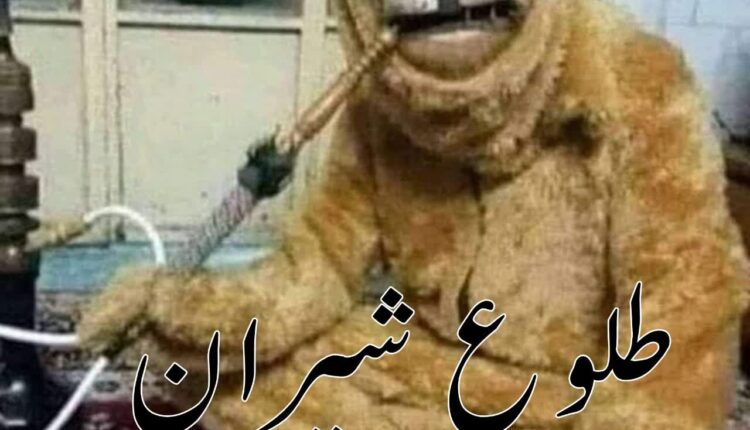 عملیات طلوع شیران ارتش اسرائیل