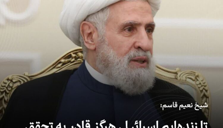 نعیم قاسم: تا زنده‌ایم اسرائیل هرگز قادر به تحقق اهدافش نخواهد بود