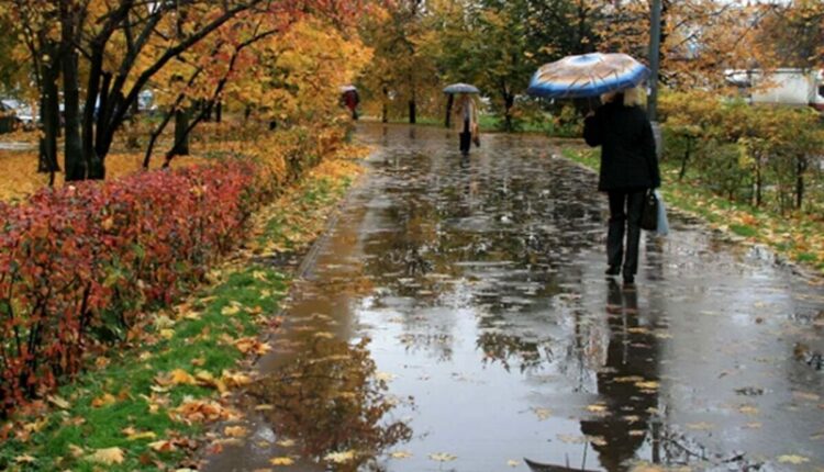 در پاییز منتظر بارش شدید باران باشیم؟