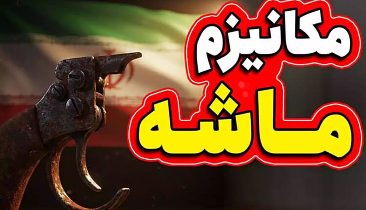 بقایی: مواضعمان را خیلی صریح، روشن و قاطع بیان کردیم
