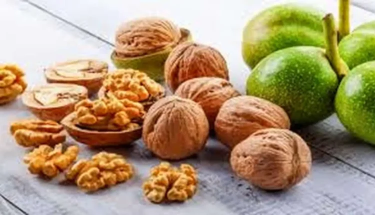 خرید و فروش گردوی سبز در بروجرد ممنوع شد.