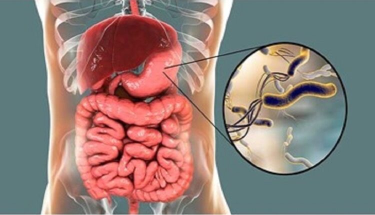 میکروب معده را با این میوه ها از بین ببرید