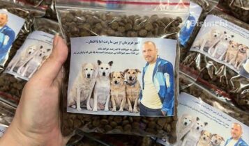 خانواده یکی از کشته‌شدگان در لاهیجان غذای سگ خیرات کرد