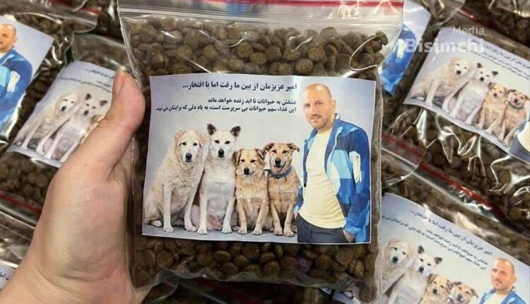 خانواده یکی از کشته‌شدگان در لاهیجان غذای سگ خیرات کرد